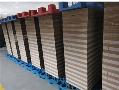 Automatic Box Palletizer