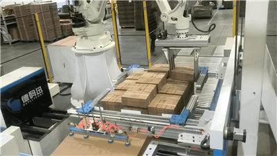 Top 10 Automated Palletizing Robot Manufacturers in China 2026